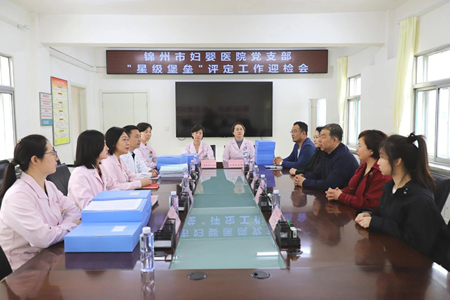 【党建风貌】“星级堡垒”评定迎检 打造标杆党支部