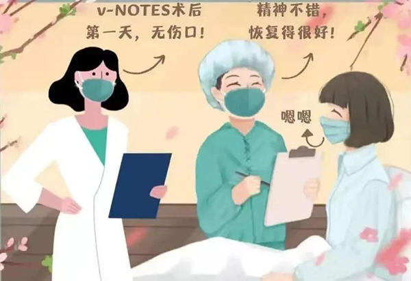 【技术前沿】经阴道单孔腹腔镜（VNOTS）——腹壁没有切口的妇科手术