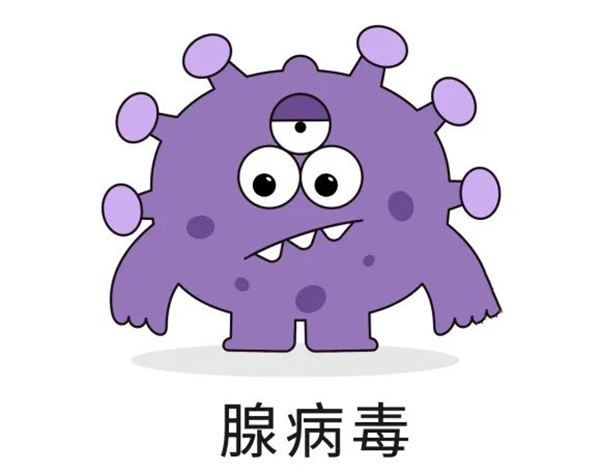 【健康科普】宝宝反复高热为哪般？