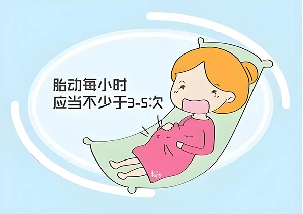 【健康科普】孕妈妈的困扰——如何计数胎动