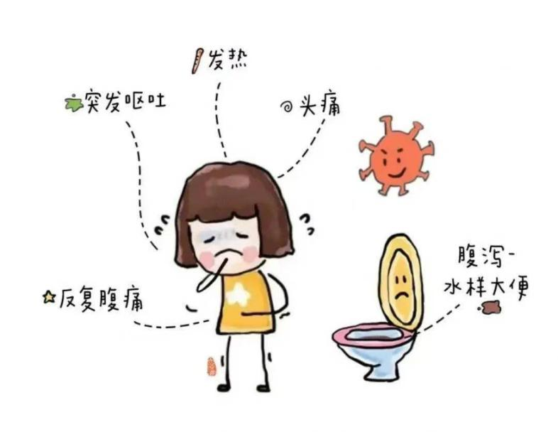 【健康科普】消化道里的“小霸王”——诺如病毒