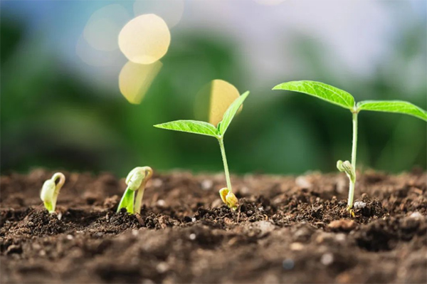 【中医科普】中医妙招助孩子“高人一等”