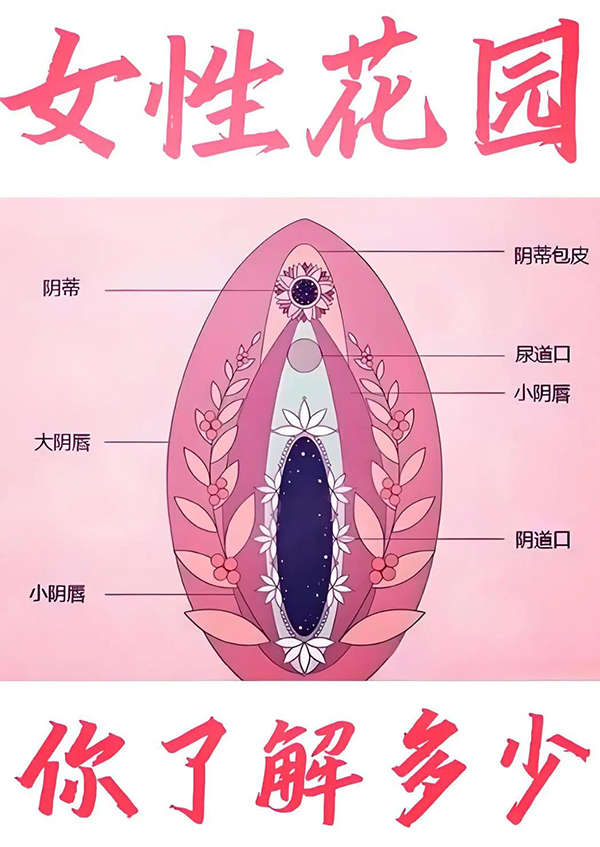 【优势技术】26岁女子冲破生育阻碍：从“性”福困境到孕育希望