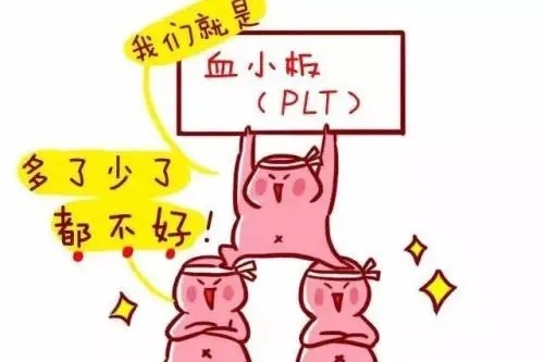 【健康科普】娃身上莫名出瘀斑，警惕血小板减少症！